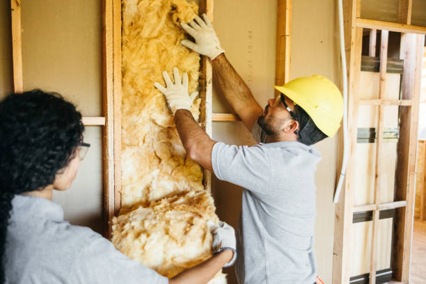 Best Fiberglass Insulation  in Jan Phyl Village, FL